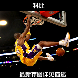 办个武术裁判证多少钱